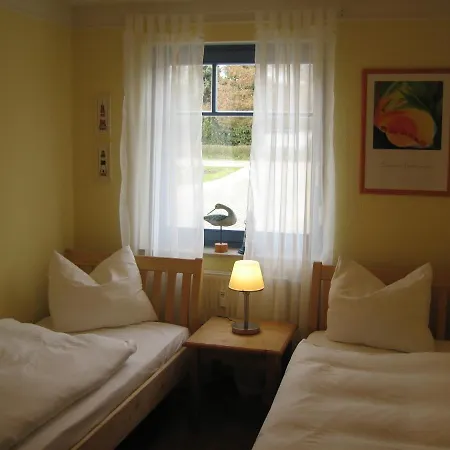 Graureiher In Apartamento Prerow