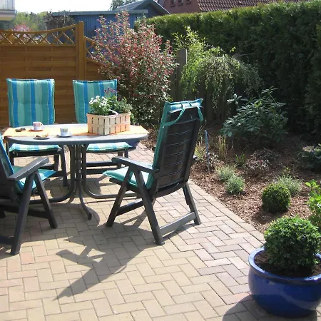 Graureiher In * Prerow