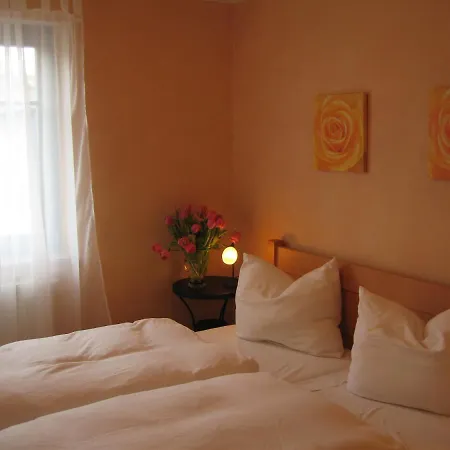 Graureiher In Prerow